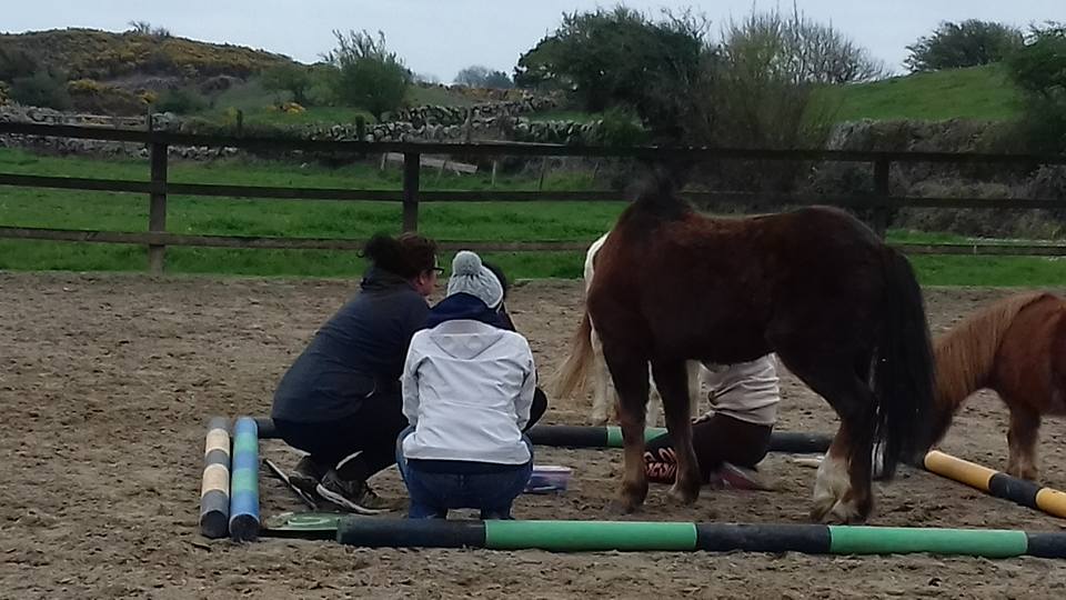 A typical Team-Building Day like at Horses Connect